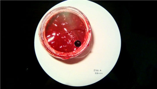 Image of Label Cover of 0125201E: 2xLP - ANIMAL COLLECTIVE, Strawberry Jam (Domino; WIGLP199, UK 2006, Gatefold, 2 Inners) Stickered Sleeve  EX/VG+