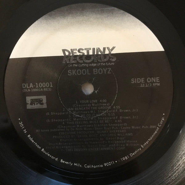 Image of Label Cover of LP - VG/VG+ - SKOOL BOYZ, Skool Boyz (Destiny; DLA-10001, US 1981), Writing on back of sleeve and label.,  - 4226224E