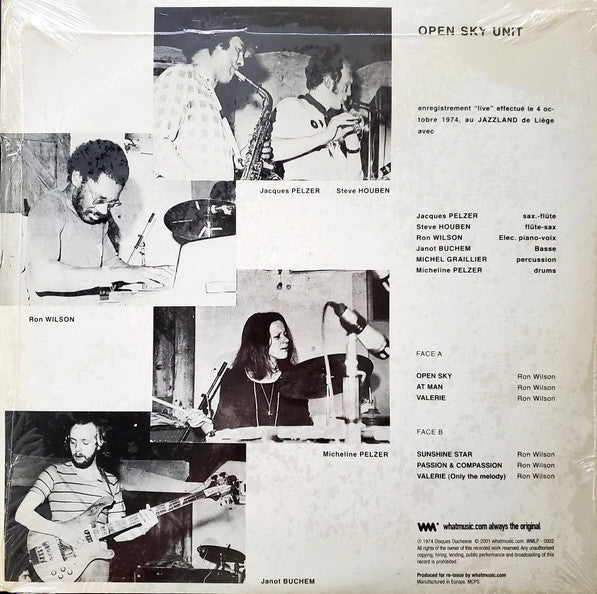 Image of Back Cover of LP - VG+/VG - OPEN SKY UNIT, Open Sky Unit (WhatMusic; WMLP002, UK 2001 Reissue, Insert), Strong VG to disc - light marks only. Sleeve still in stickered shrink.,  - 2316244C