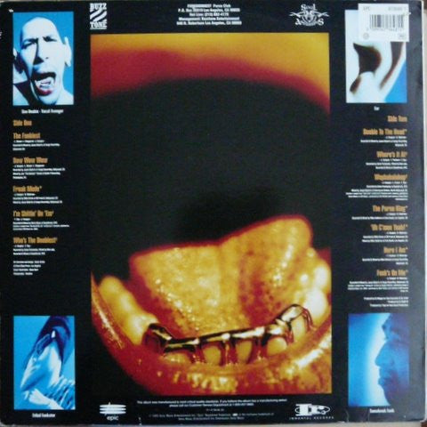 Image of Back Cover of 4925029E: LP - FUNKDOOBIEST, Which Doobie U B? (Epic ; 473648 1, UK & Europe 1993, Picture Sleeve) Sleeve has heavy edgewear and creasing. Many marks on the vinyl but nothing too serious.  G+/G+