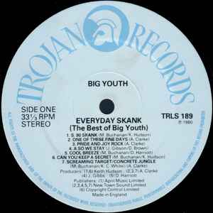 Image of Label Cover of LP - EX/EX - BIG YOUTH, Everyday Skank (Best Of Big Youth) (Trojan Records; TRLS 189, UK 1980), ,  - 1316519C
