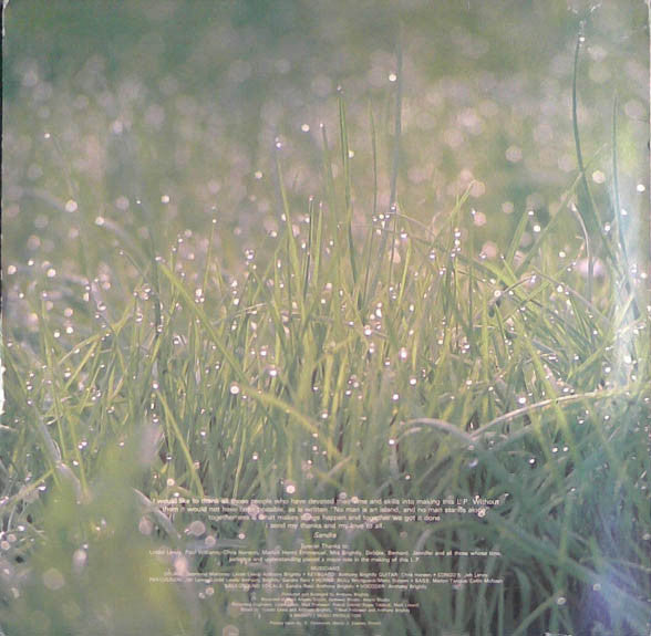 Image of Back Cover of LP - VG/VG - SANDRA REID, If Dreams Were Real (Sir George; SGLP 001, UK 1983, Glossy Sleeve, Insert), Light lines only, plays above grade. Quite a lot of creases on sleeve, wear to opening, still looks decent. Original insert included.,  - 2116573C