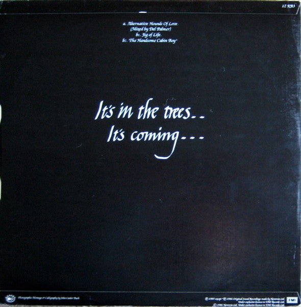 Image of Back Cover of 12" - VG+/VG - KATE BUSH, Hounds Of Love (EMI; 12KB3, UK 1985, Textured Sleeve), Hairlines,  - 2846265S