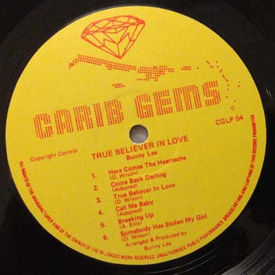 Image of Label Cover of LP - VG/G+ - DELROY WILSON, True Believer In Love (Carib Gems; CGLP 04, UK 1978, Laminated Front Sleeve), Strong G+,  - 2546073S