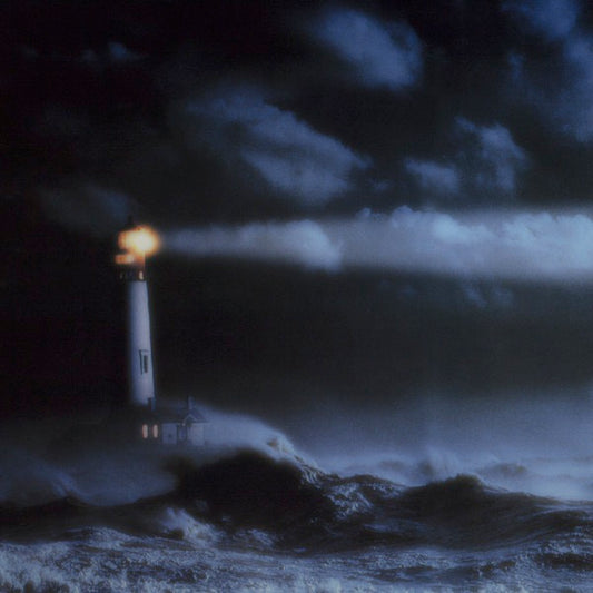 Image of Front Cover of LP - VG+/VG+ - JOHN MAUS, We Must Become The Pitiless Censors Of Ourselves (Upset The Rhythm; UTR049, UK 2011, Inner, Green Vinyl), ,  - 1146096S