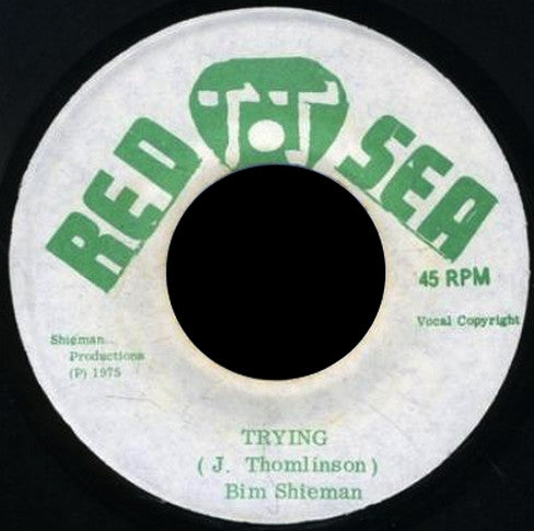 Image of Front Cover of 7" - /G+ - BIM SHERMAN, Trying (Red Sea; , Jamaica 1975), Lots of marks on disc/ Groove wear. Plays OK. WOL.,  - 0756106S
