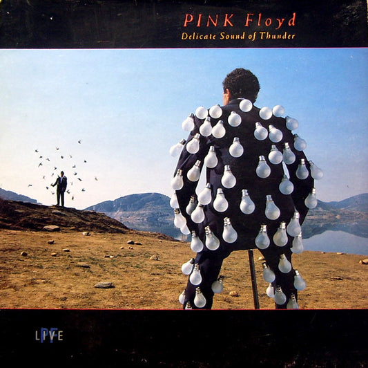 Image of Front Cover of 2xLP - VG/G+ - PINK FLOYD, Delicate Sound of Thunder (EMI; EQ5009, UK 1988, Gatefold, 2 Inners), Light Marks only.,  - 2316097C