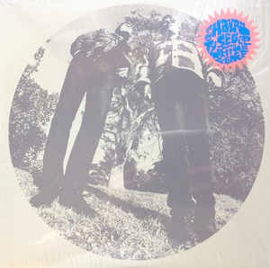 Image of Front Cover of 1314522C: LP - TY SEGALL AND WHITE FENCE, Hair (Drag City; DC503, US 2012, Insert)   NEW/NEW