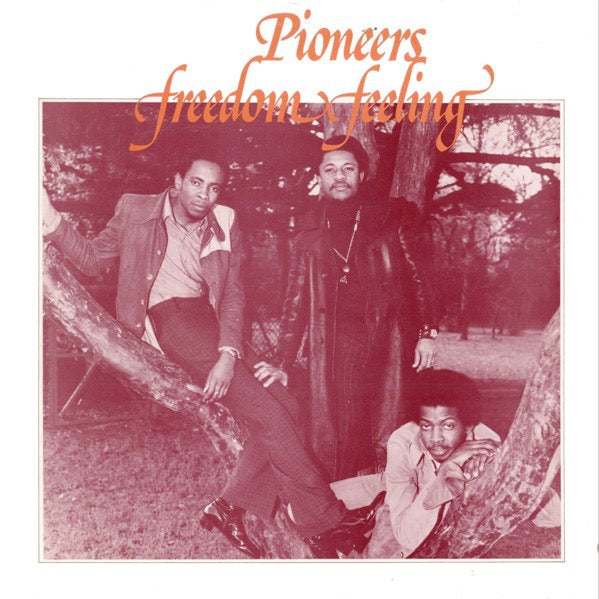 Image of Front Cover of LP - G+/G+ - THE PIONEERS, Freedom Feeling (Trojan Records; TRLS 64, UK 1973), Sticker damage and some stains to sleeve. Disc has light marks only.,  - 2416579C