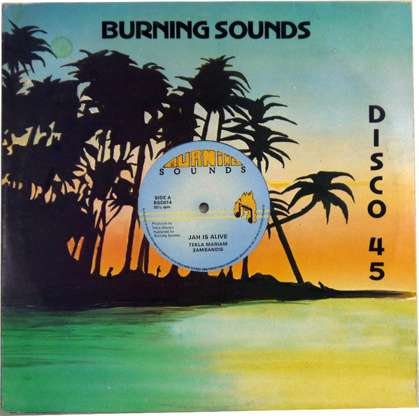 Image of Front Cover of 0416326C: 12" - TEKLA MARIAM / ZABANDIS, Jah Is Alive / Freedom Fighter (Burning Sounds; BSD014, UK 1980s, Company Sleeve) Light scuffs, plays above grade. In nice company sleeve.  VG/VG