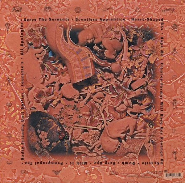 Image of Back Cover of LP - VG+/VG+ - NIRVANA, In Utero (Geffen; DGC24607, US 1993, Inner, Special Limited Edition Disc, Clear Vinyl), Light Dints In All 3 Corners. Shop Tested, Sounds Great.,  - 3846184S