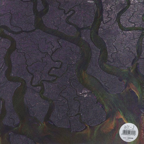 Image of Back Cover of LP - VG+/VG+ - ALT-J, An Awesome Wave (Infected; INFECT134LP, UK 2012, Gatefold, Inner, White Vinyl ), ,  - 3746375S