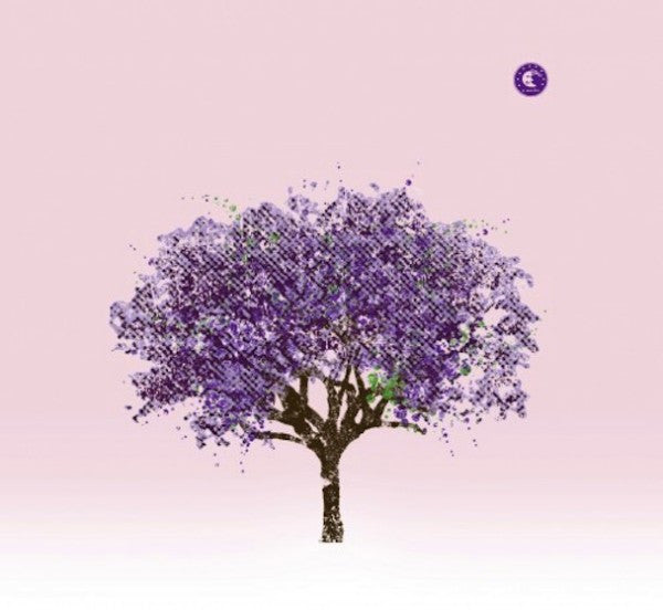 Image of Front Cover of LP - VG+/VG+ - EELS, Tomorrow Morning (e works; CSDLP1145, UK 2010, Gatefold, With 7"), ,  - 2525252E