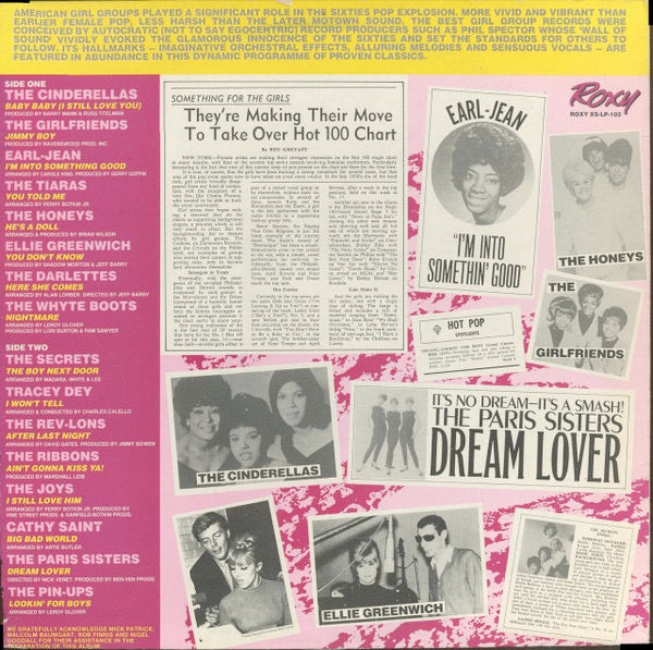 Image of Back Cover of 3725268E: LP - VARIOUS, Lookin' For Boys (Roxy; XSLP102, UK , Released in mid to late 80s)   VG+/VG+