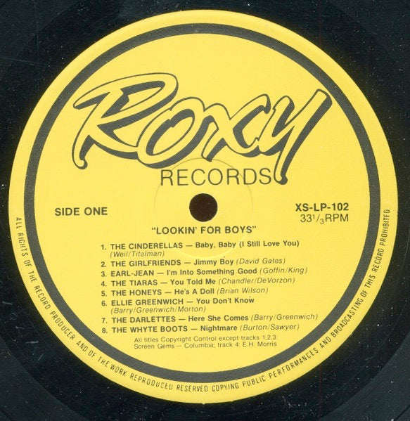 Image of Label Cover of 3725268E: LP - VARIOUS, Lookin' For Boys (Roxy; XSLP102, UK , Released in mid to late 80s)   VG+/VG+