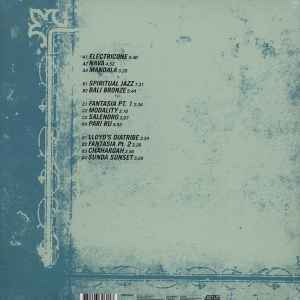 Image of Back Cover of 2xLP - EX/EX - LLOYD MILLER / THE HELIOCENTRICS, Lloyd Miller & The Heliocentrics (OST) (Strut; STRUT060LP, Germany 2010, Gatefold), As new, Opened in store,  - 3526290E