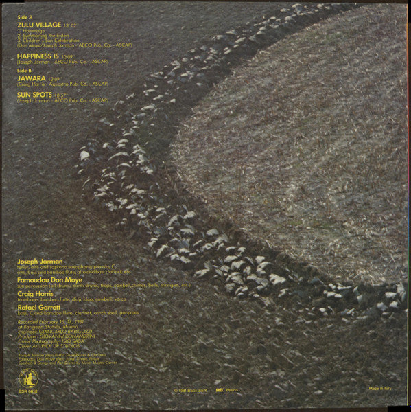 Image of Back Cover of LP - VG/VG+ - JOSEPH JARMAN AND DON MOYE FEAT. CRAIG HARRIS & RAFAEL GARRETT, Earth Passage - Density (Black Saint; BSR 0052, Italy 1981), Small patch of sticker damage to sleeve + corner cut. Disc is clean!,  - 4016537C