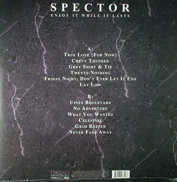 Image of Back Cover of 4644348S: LP - SPECTOR, Enjoy It While It Lasts (Fiction; SPECT07, UK 2012, Poster Insert, First pressing that ends with a locked groove)   VG+/VG+