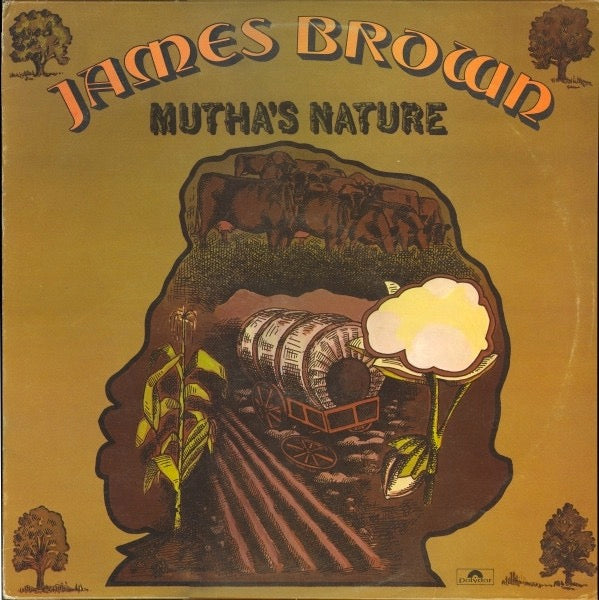 Image of Front Cover of LP - VG/VG+ - JAMES BROWN, Mutha's Nature (Polydor; 2391 300, UK 1977), ,  - 3626234E