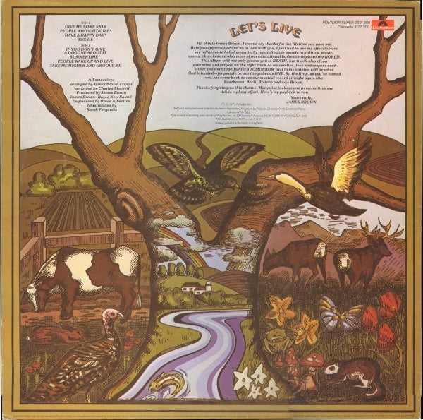 Image of Back Cover of LP - VG/VG+ - JAMES BROWN, Mutha's Nature (Polydor; 2391 300, UK 1977), ,  - 3626234E