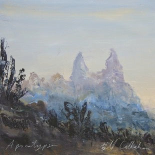 Image of Front Cover of LP - VG/VG - BILL CALLAHAN, Apocalypse (Drag City; DC450, US 2011, Inner), ,  - 2216341C