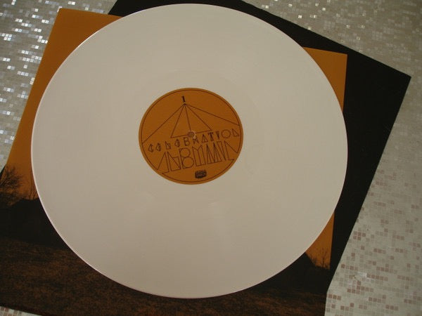 Image of Label Cover of LP - NEW/NEW - CELEBRATION, Albumin (Bella Union; BELLA452V, Europe 2014, Inner, + CD), , Baltimore's Celebration return with Albumin, a distinctly vivid, seismic slice of psychedelic rock and soul. Their first album since 2010 and first for Bella Union. Albumin is Celebration s finest record to date. From the anthemic opener  Razor s Edge  to the pop levity of  Tomorrow s Here Today  and the shape-shifting centrepiece  I Got Sol , these are their strongest melodies, most dynamic arr