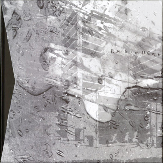 Image of Front Cover of 2xLP - VG/VG+ - RADIOHEAD, In Rainbows (Xurbia_Xendless Limited ; _X_X001, UK 2007, Book Sleeve With Slipcase, 2 Booklets & Black Inners, with 2 CDs), Strong VG sleeve - very light wear to slipcase, BOTH CDs scratched,  - 3846227S