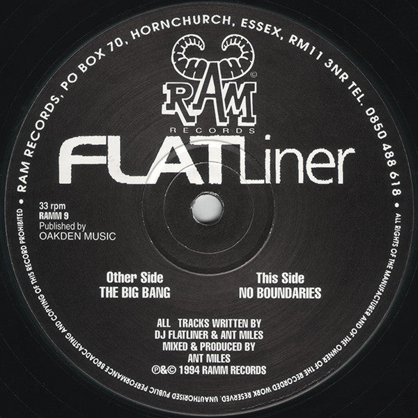 Image of Label Cover of 12" - VG/VG - FLATLINER, The Big Bang / No Boundaries (Ram; RAMM9, UK 1994, Picture Sleeve), ,  - 3226045E