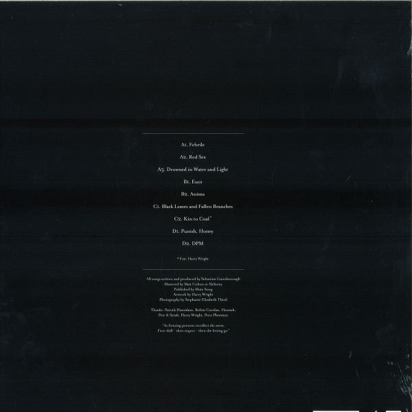 Image of Back Cover of 2x12" - VG+/VG+ - VESSEL, Punish, Honey (Tri Angle; triangle27, UK 2014, Picture Sleeve), ,  - 4126134E