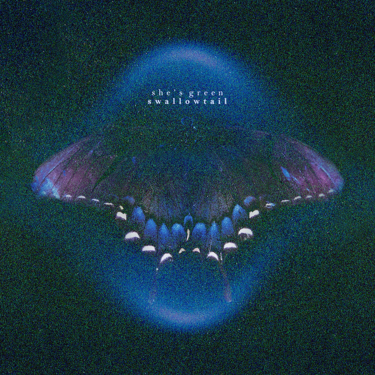 SHE'S GREEN, Swallowtail / Chrysalis (Photo Finish Records; 5547990366, UK 2026, Iridescent White Vinyl) 2xLP NEW/NEW - PRE-ORDER
